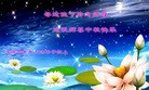 ֹ,д󷨵ӹףʦ(15)

