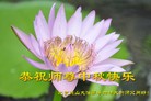 ֹ,½󷨵ӹףʦ(34)
