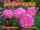 ֹ,½󷨵ӹףʦ(34)
