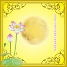 ֹ,½󷨵ӹףʦ(34)

