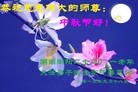 ֹ,½󷨵ӹףʦ(34)
