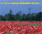 ֹ,½󷨵ӹףʦ(34)

