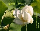 ֹ,󷨵ӹףʦ(26)
