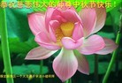 ֹ,󷨵ӹףʦ(22)
