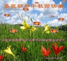 ֹ,ɹŴ󷨵ӹףʦ(21)
