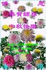 ֹ,󷨵ӹףʦ(26)
