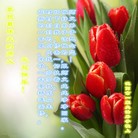 ֹ,½󷨵ӹףʦ(33)
