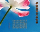 ֹ,½󷨵ӹףʦ(43)
