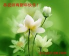 ֹ,½󷨵ӹףʦ(50)
