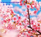 ֹ,½󷨵ӹףʦ(32)
