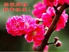 ֹ,½󷨵ӹףʦ(32)
