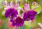 ֹ,½󷨵ӹףʦ(32)
