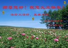 ֹ,½󷨵ӹףʦ(32)
