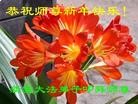 ֹ,½󷨵ӹףʦ(39)
