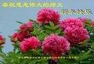 ֹ,½󷨵ӹףʦ(38)
