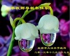 ֹ,½󷨵ӹףʦ(54)
