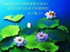 ֹ,½󷨵ӹףʦ(54)
