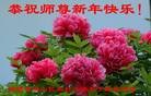 ֹ,Ϋ󷨵ӹףʦ֣21
