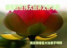 ֹ,մ󷨵ӹףʦ(23)

