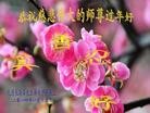 ֹ,󷨵ӹףʦ֣18
