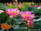 ֹ,󷨵ӹףʦ֣18
