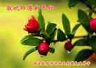 ֹ,󷨵ӹףʦã18
