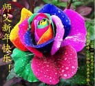 ֹ,ľ˹󷨵ӹףʦ(18)
