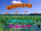 ֹ,󷨵ӹףʦ(20)
