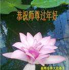 ֹ,ϴ󷨵ӹףʦ֣19
