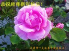 ֹ,ʡ󷨵ӹףʦ(19)
