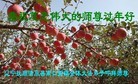 ֹ,󷨵ӹףʦ(18)
