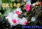 ֹ,󷨵ӹףʦ(21)
