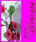 ֹ,󷨵ӹףʦ(19)
