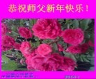 ֹ,󷨵ӹףʦ(19)
