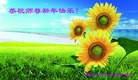 ֹ,󷨵ӹףʦ֣24
