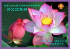 ֹ,󷨵ӹףʦ(22)
