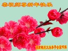 ֹ,ϴ󷨵ӹףʦ(24)

