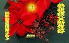 ֹ,ӱ󷨵ӹףʦ(24)
