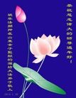 ֹ,Ϋ󷨵ӹףʦ(31)

