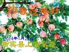 ֹ,󷨵ӹףʦ(19)
