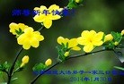 ֹ,󷨵ӹףʦ(25)
