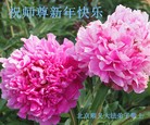 ֹ,󷨵ӹףʦ(24)
