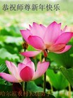 ֹ,󷨵ӹףʦ(25)
