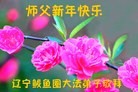 ֹ,󷨵ӹףʦ(24)
