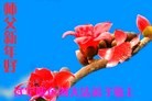 ֹ,󷨵ӹףʦ(24)
