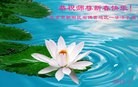 ֹ,󷨵ӹףʦ(24)
