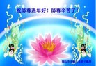 ֹ,󷨵ӹףʦ(24)
