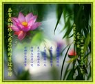 ֹ,󷨵ӹףʦ(24)
