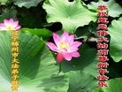 ֹ,ݴ󷨵ӹףʦã22
