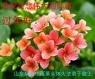 Published on 2/7/2016 ���ֹ�,��½�󷨵��ӹ�ףʦ������(28��)
